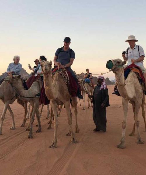 Camel Race Track