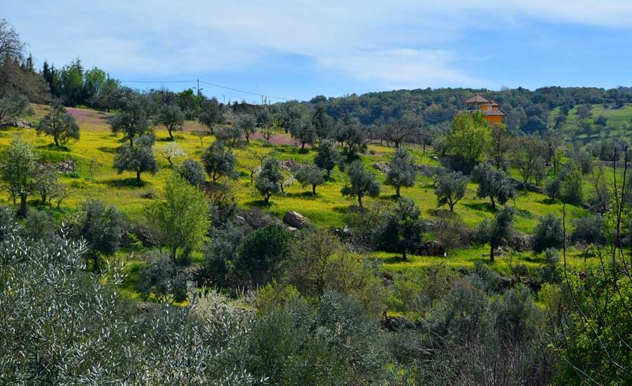 Ajloun