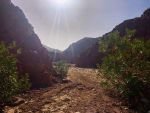wadi rum